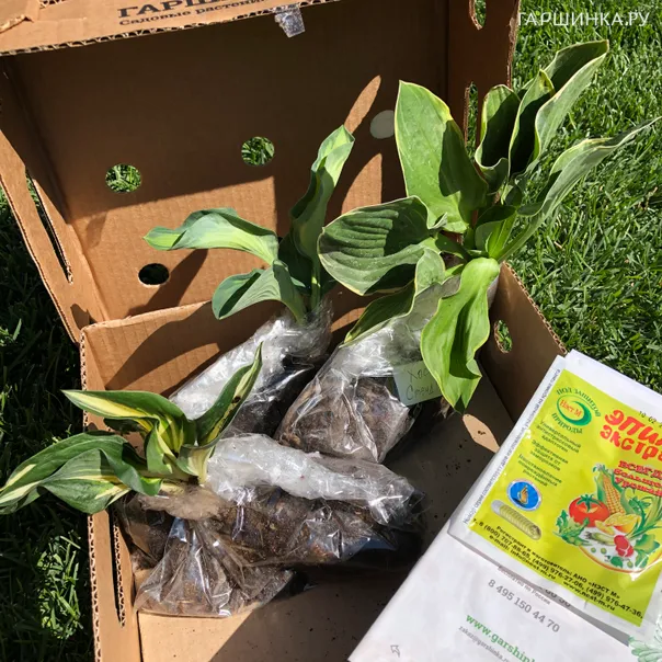 превью изображения отзыва