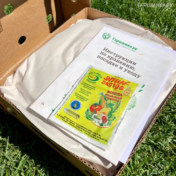 превью изображения отзыва