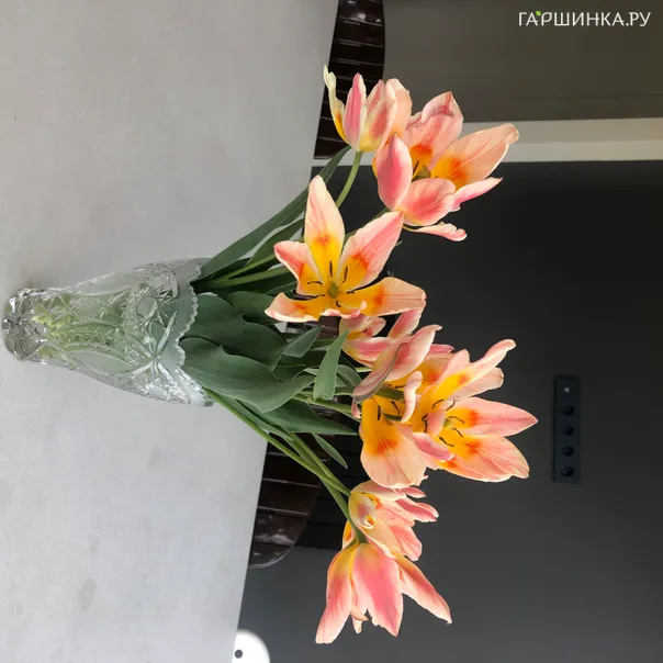 превью изображения отзыва