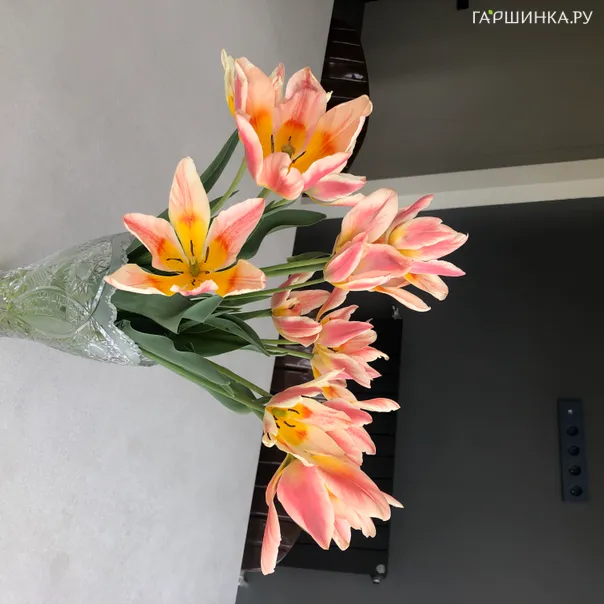 превью изображения отзыва