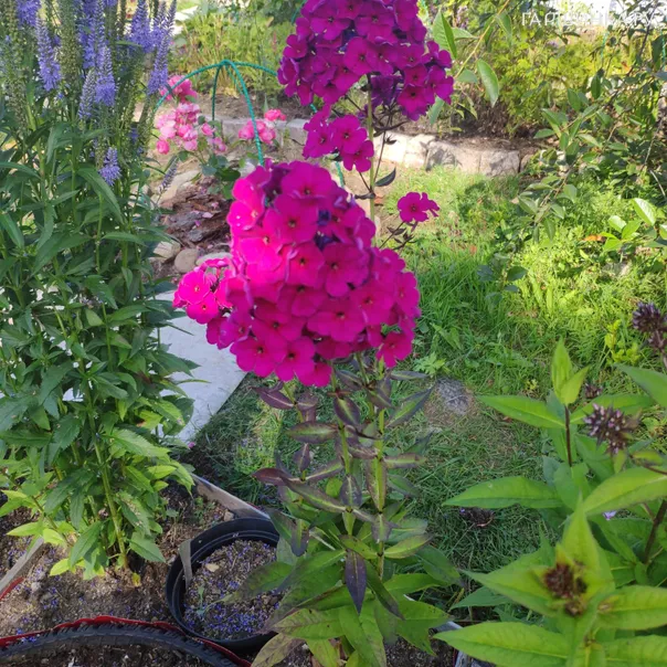 превью изображения отзыва