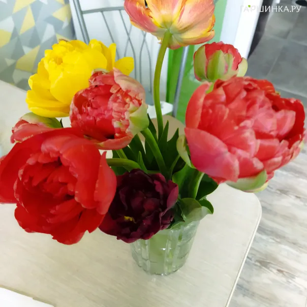 превью изображения отзыва