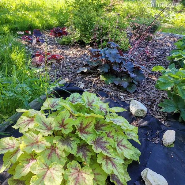 превью изображения отзыва