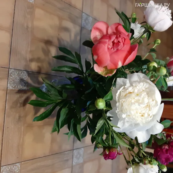 превью изображения отзыва