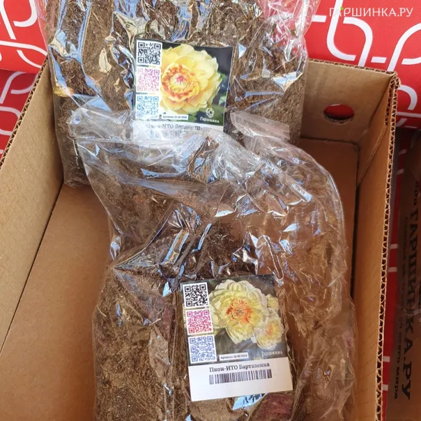 превью изображения отзыва