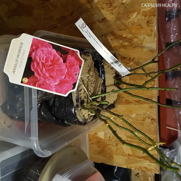 превью изображения отзыва