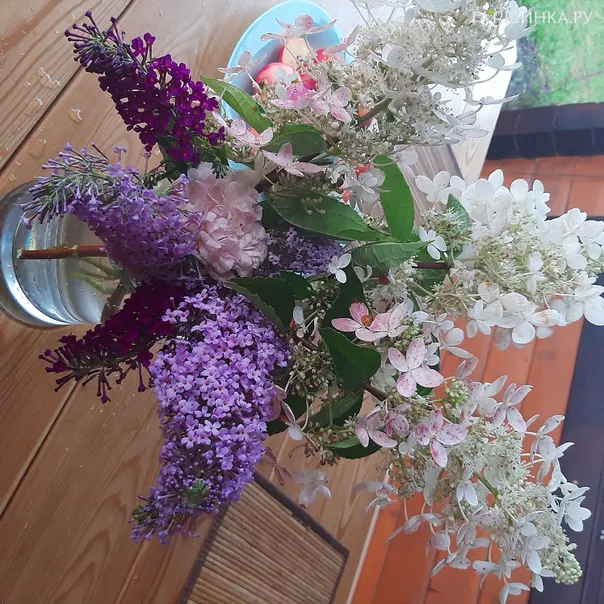 превью изображения отзыва