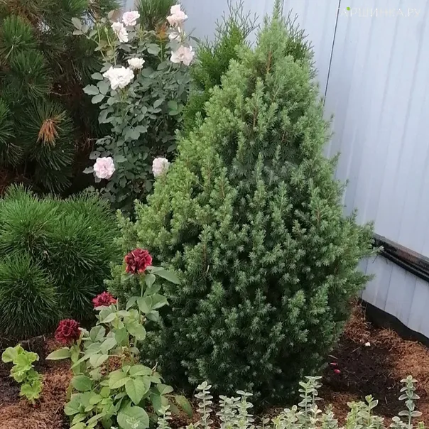 превью изображения отзыва