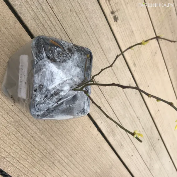 превью изображения отзыва