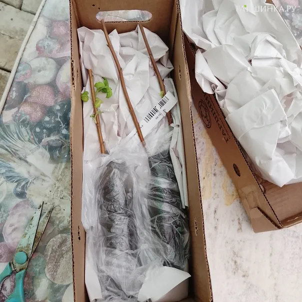 превью изображения отзыва