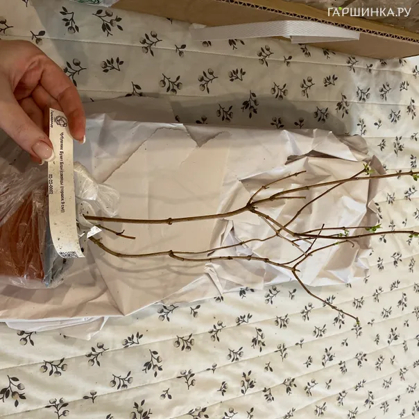 превью изображения отзыва