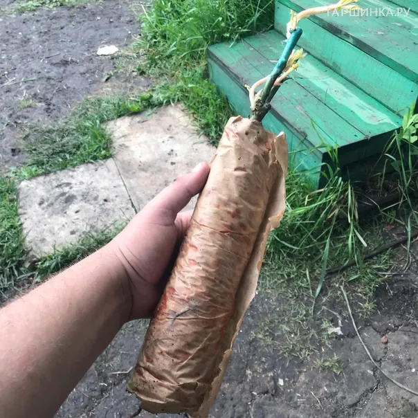 превью изображения отзыва