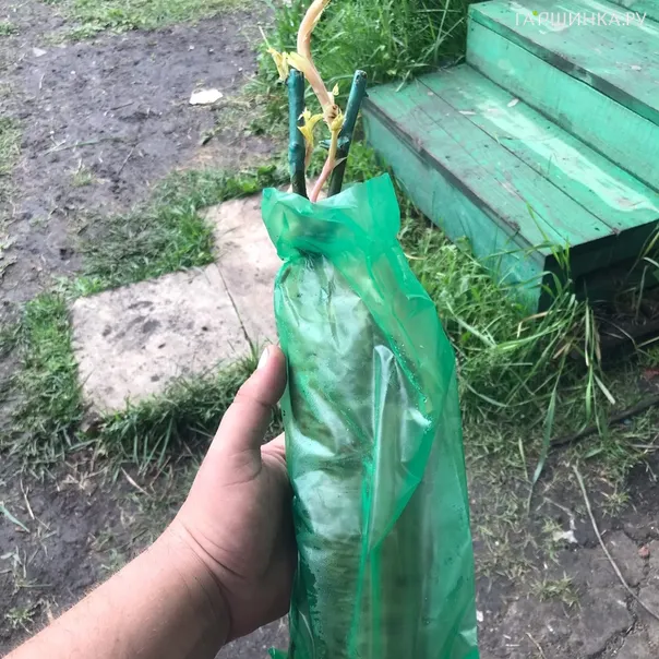 превью изображения отзыва